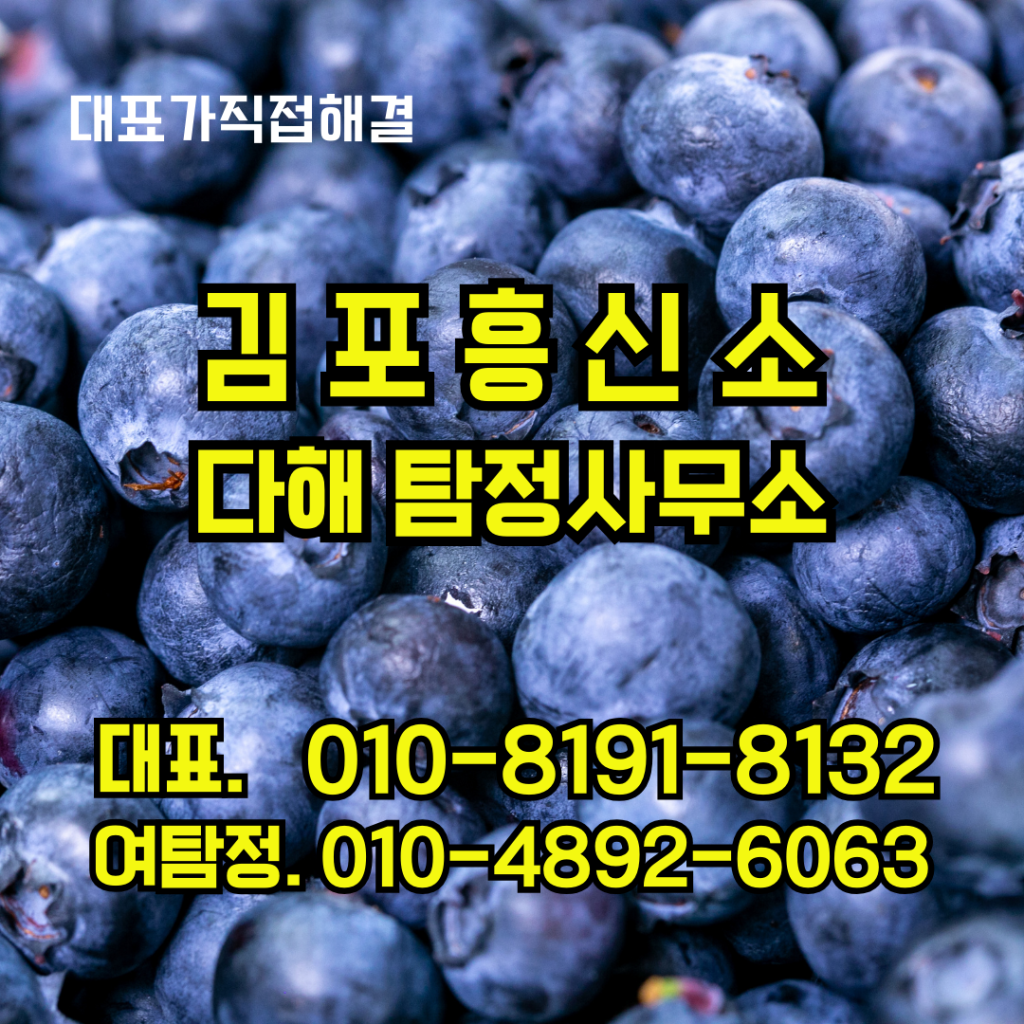 김포흥신소